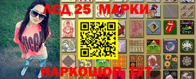 прущие грибы Краснознаменск