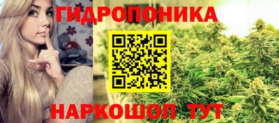 прущие грибы Краснознаменск