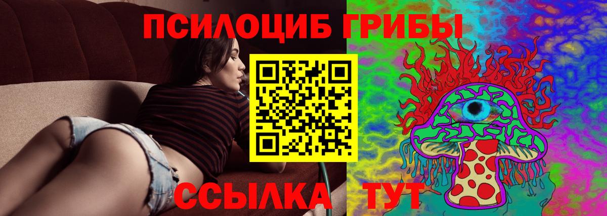 Псилоцибиновые грибы прущие грибы  купить  цена  Кемерово  Вход с VPN 
